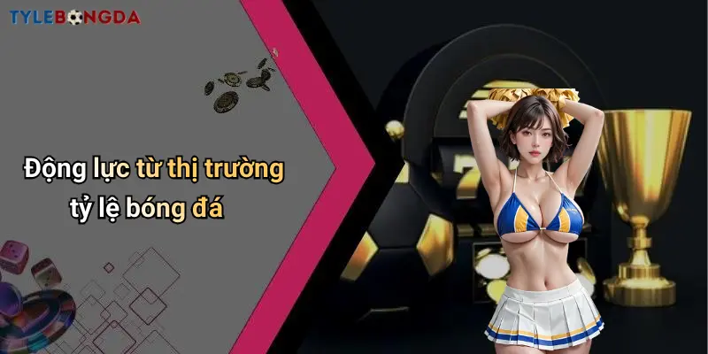 Động lực từ thị trường tỷ lệ bóng đá