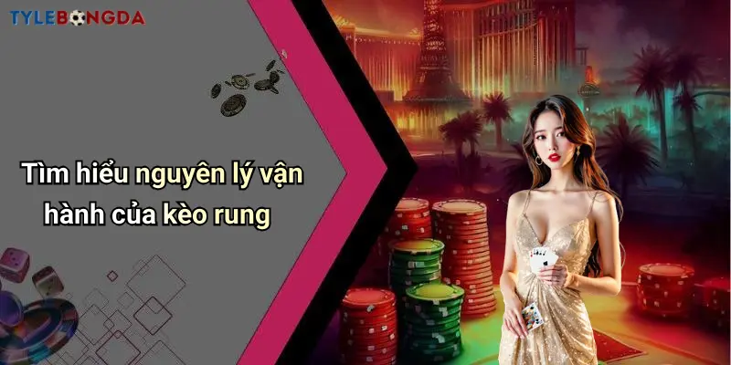 Tìm hiểu nguyên lý vận hành của kèo rung