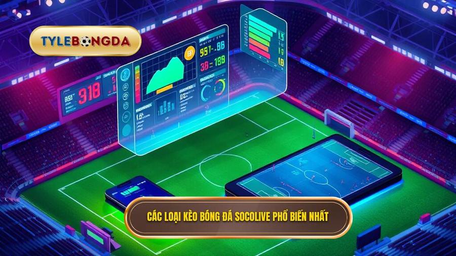 2. Các loại kèo bóng đá Socolive phổ biến nhất hiện nay