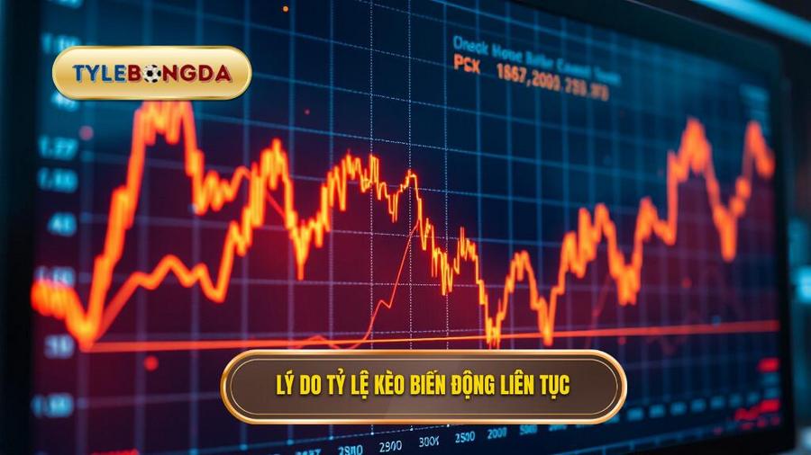 Lý do tỷ lệ kèo biến động liên tục