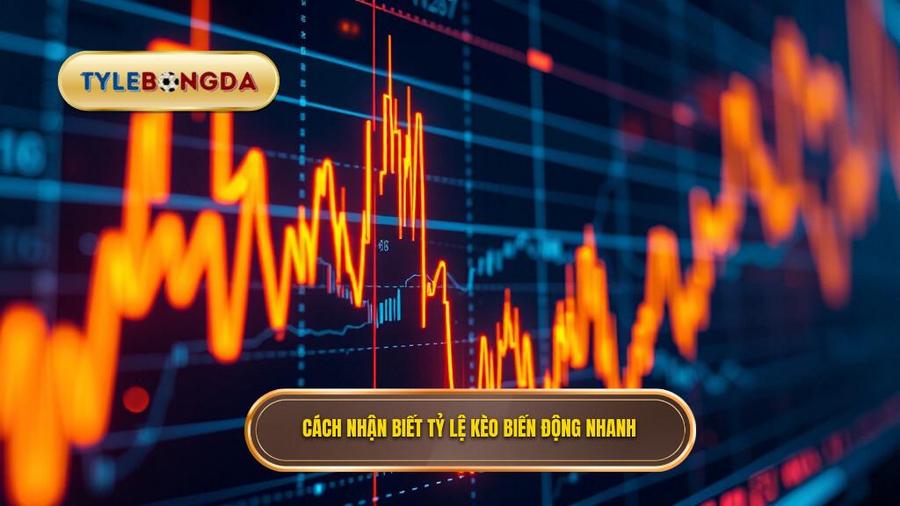 Cách nhận biết tỷ lệ kèo biến động nhanh
