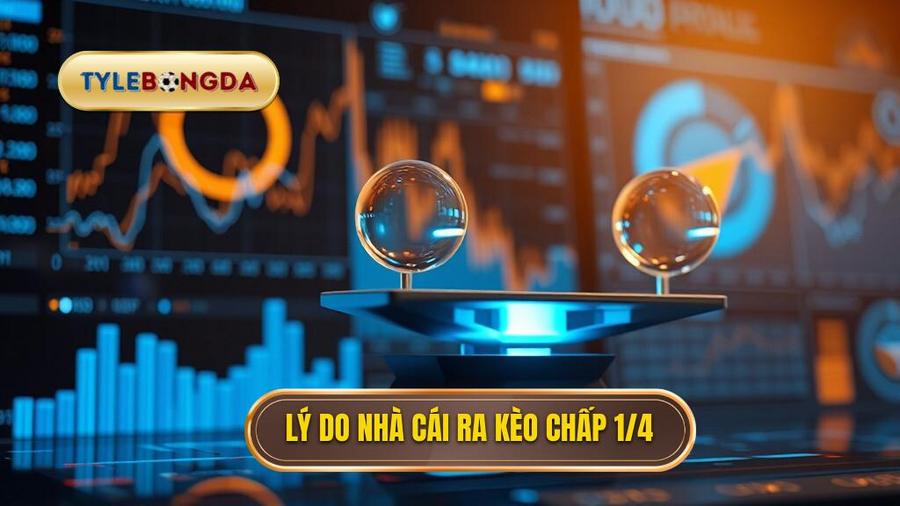 3. Lý do nhà cái ra kèo chấp 1 4 Lý do nhà cái ra kèo chấp 1 4
