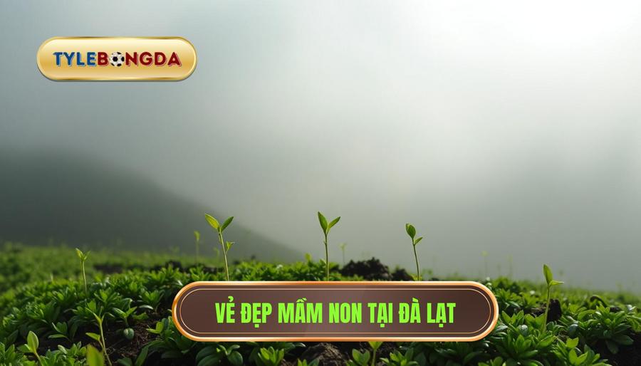 Sức hút từ những "mầm non" tại xứ sở sương mù