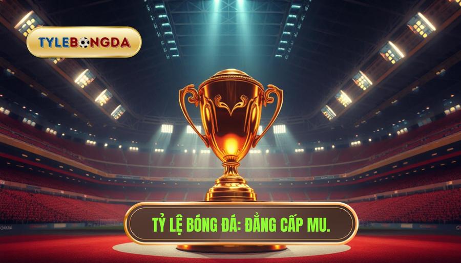 Manchester United đã vô địch bao nhiêu lần? Thống kê chi tiết nhất